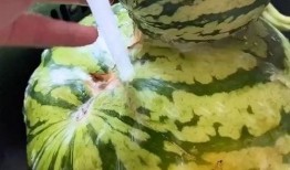 吃吊瓜搞笑视频大全集免费观看,笑翻天！吊瓜搞笑视频大全集免费畅享