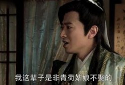 神医在线观看,揭秘现代医学的传奇故事