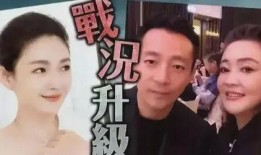 台媒爆料大s视频,真相与争议交织