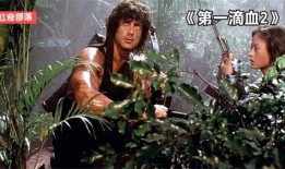 第二滴血在线观看,在线观看，揭秘惊悚悬疑的续集篇章