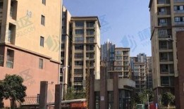 盐城度假区爆料事件视频,事件真相与网友热议