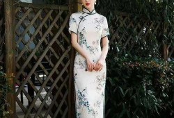 旗袍2011在线观看,穿越时光的美丽传奇