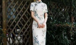 旗袍2011在线观看,穿越时光的美丽传奇
