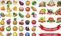 娱乐吃瓜酱视频边框设计,揭秘视频边框设计新潮流