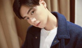 娱乐圈的胡胡真实爆料,胡胡真实爆料，揭开明星背后的秘密