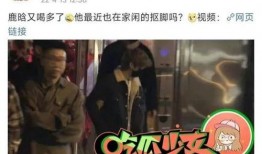 北京狗仔爆料视频大全,揭秘娱乐圈幕后真相