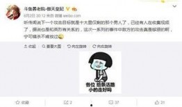 网友爆料配音视频,揭秘幕后配音者的魅力与挑战