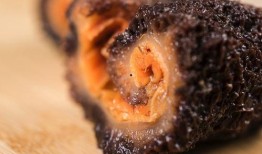 海参爆料原神视频下载安装,原神视频下载安装全攻略，轻松上手体验奇幻冒险