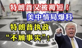 特朗普职业爆料视频,权力背后的惊人内幕