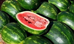 xingzhigogo421免费吃瓜