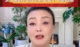 最新爆料张兰简介,揭秘商业女强人的传奇人生