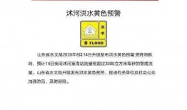 菏泽热点新闻爆料电话号码,揭秘身边事，共筑平安菏泽