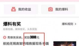头条如何发爆料视频赚钱,轻松上手，月入过万不是梦