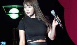 韩国人爆料洪真英视频,洪真英视频曝光，网友热议其真实一面