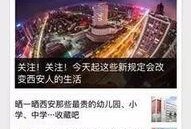 河南新闻线索爆料,揭秘某地神秘项目背后的真相