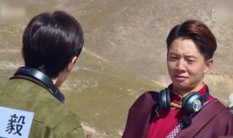 成毅天涯爆料李静芝视频,揭秘背后惊人真相