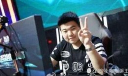 刘大锤爆料何炅视频播放,何炅视频幕后真相，播放量惊人！