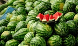 网红吃瓜赵露丝图片,表情包走红网络