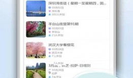 趣玩制造机最新爆料软件下载,揭秘软件下载界的革新之作