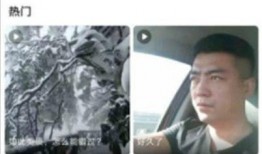 17蘑菇爆料视频,揭秘幕后的惊人真相