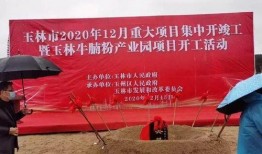 容县新闻爆料,揭秘当地最新热点事件背后的真相