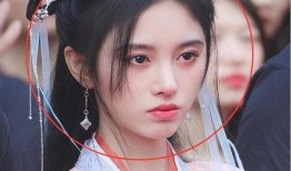 明星白鹿爆料视频,娱乐圈幕后故事大曝光