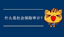 最近审计新闻爆料,揭秘近期审计新闻背后的真相