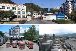 龙岩卓越新能源最新爆料,揭秘未来清洁能源发展新动向