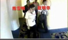 大鹰哥爆料截图视频大全,揭秘视频大全背后的精彩瞬间