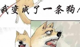 啧啧吃瓜小说免费阅读