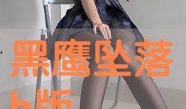 h版黑鹰坠落在线观看,h版黑鹰坠落在线观看，重现惊心动魄的战场传奇