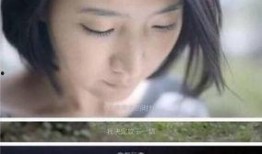 刘书池前妻爆料视频在线观看,揭秘婚姻内幕与情感纠葛