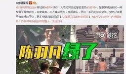天涯爆料陈戊源视频播放,陈戊源视频引发热议，真相究竟如何？