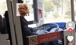爆料杭州公交车司机视频,惊险瞬间引发网友热议