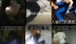 女子爆料被骗视频大全最新