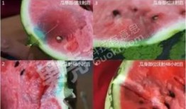 爆料西瓜特效怎么做的视频,跟随视频学习特效制作技巧