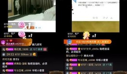 团山最新爆料事件视频播放,视频揭秘事件真相，引发网友热议