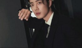 刘大锤爆料何炅视频播放,何炅视频幕后真相，播放量惊人！