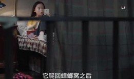 爆料孩子的视频大全集