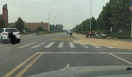 平顶山学校爆料视频最新,揭秘校园内幕