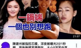 台媒爆料大s视频,真相与争议交织