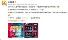 王小盒爆料真假辨别视频,视频内容深度剖析