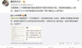 爆料大王是啥人啊视频大全,视频大全中的神秘人物