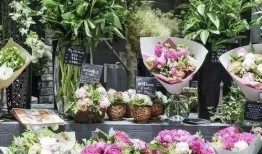 唐山花店吃瓜网红是谁啊,她是如何一夜爆红的？