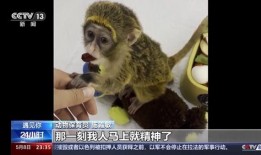 崽崽新闻爆料在哪里看啊