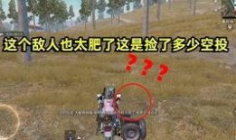 和平精英最新爆料解说,全新玩法与角色，带你领略战场新篇章