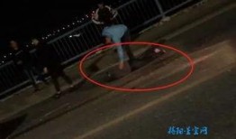 爆料老乔视频大全集,视频大全集背后的精彩故事与幕后真相