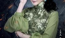 老九门免费全集在线观看,揭秘古墓探险传奇