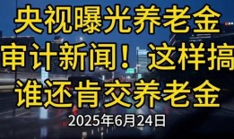 最近审计新闻爆料,揭秘近期审计新闻背后的真相
