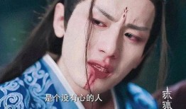 成毅天涯爆料李静芝视频,揭秘背后惊人真相